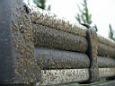 2005-06-27 044.JPG